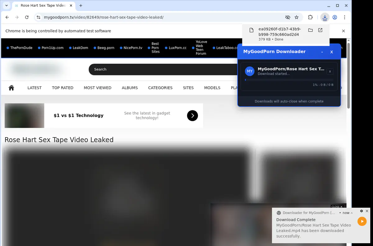 Mygoodporn Video Downloader browser extension screenshot 2