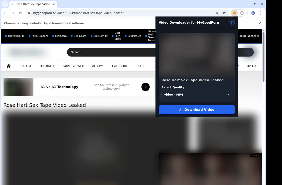 Mygoodporn Video Downloader browser extension screenshot 3
